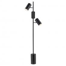 Trans Globe RTL-9173 BK - 3LT FLOOR LAMP TRIO-BK